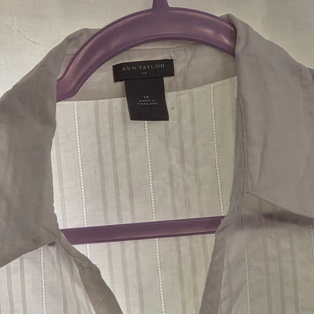 Ann Taylor Ivory Blouse with Stripe Accents